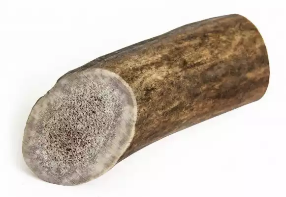 RECOSNACK Antler dog chew - gryzak z poroża jelenia Zamów teraz