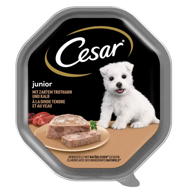 Cesar Junior 150g Mokra Karma Pełnoporcjowa Dla Szczeniąt z Indykiem i Cielęciną w Pasztecie Szybka wysyłka