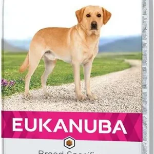 Bezpieczne zakupy Eukanuba Adult Labrador Breed Karma dla psa 2x12kg TANI ZESTAW