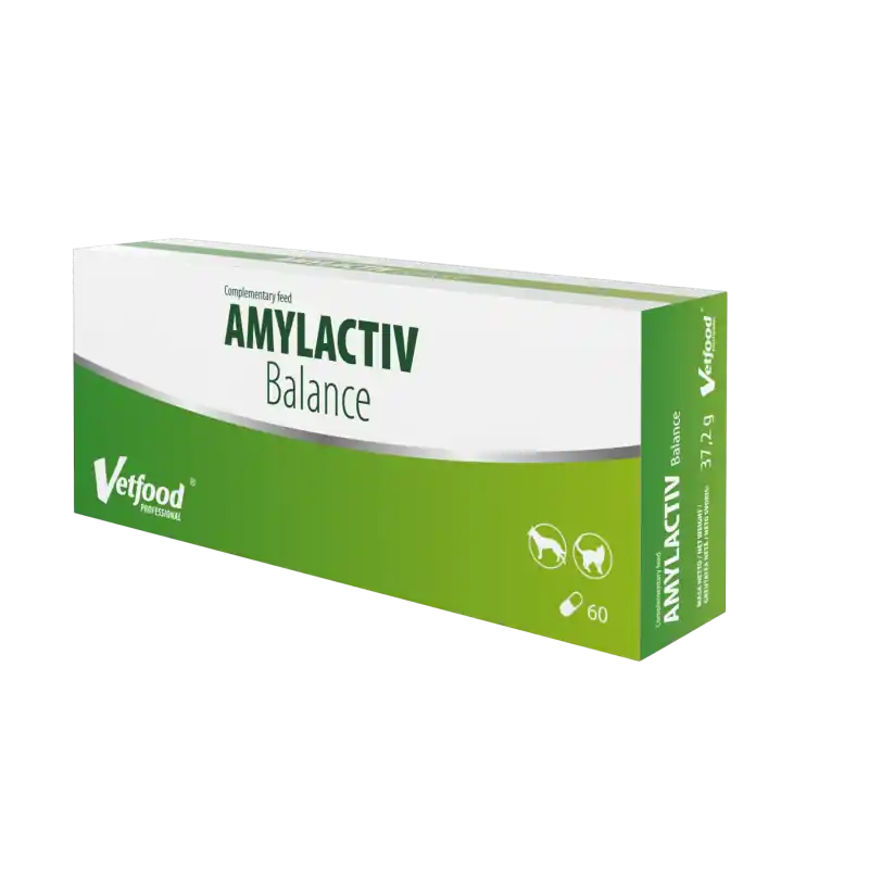Obniżka ceny VETFOOD Amylactiv Balance