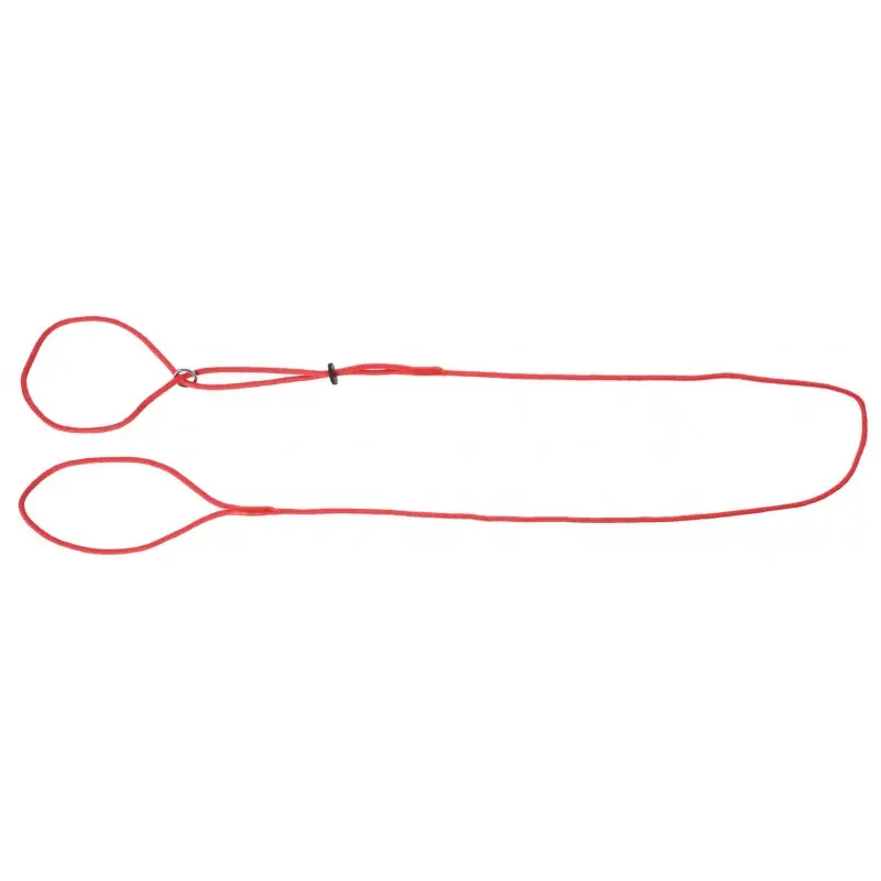DINGO Smycz wystawowa - ringówka 0,4 / 150 cm czerwona Nowość