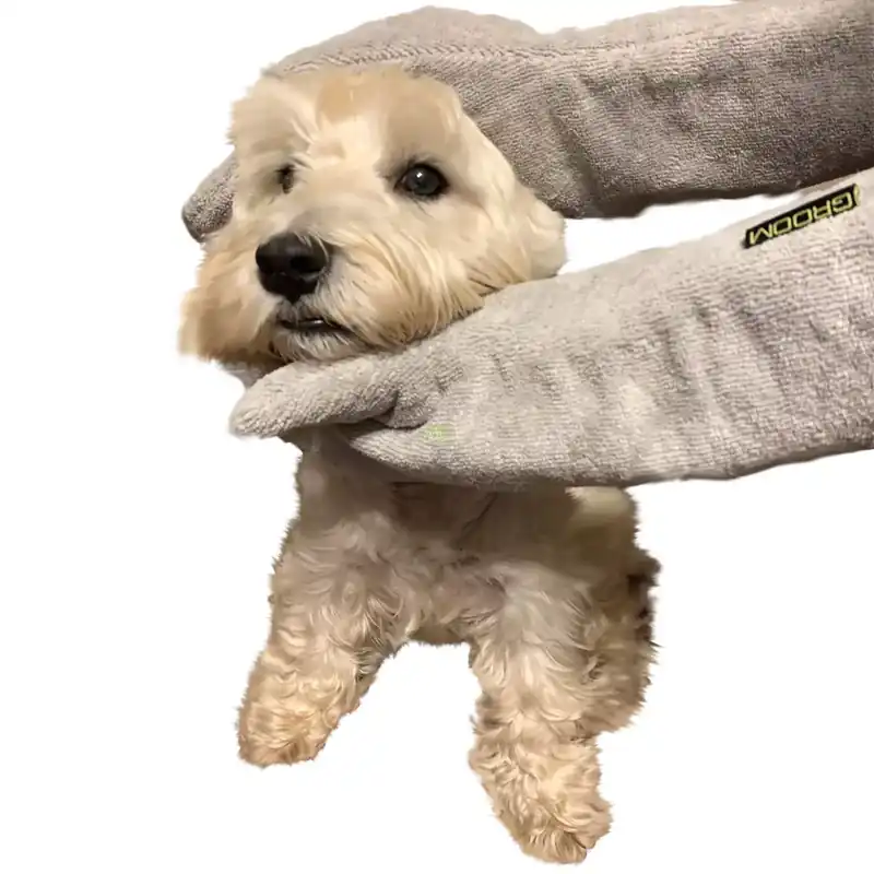 Groom Rub Down Mitts - rękawiczki do suszenia psa Bezpieczne zakupy