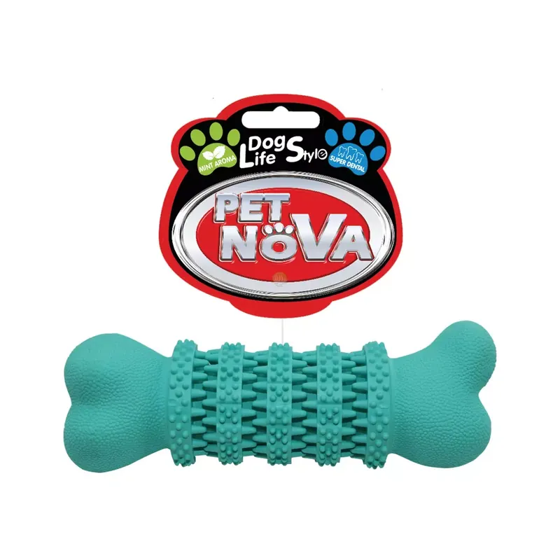 Aqua Nova RUB-DENTALFUN-13-MI Sprawdź teraz
