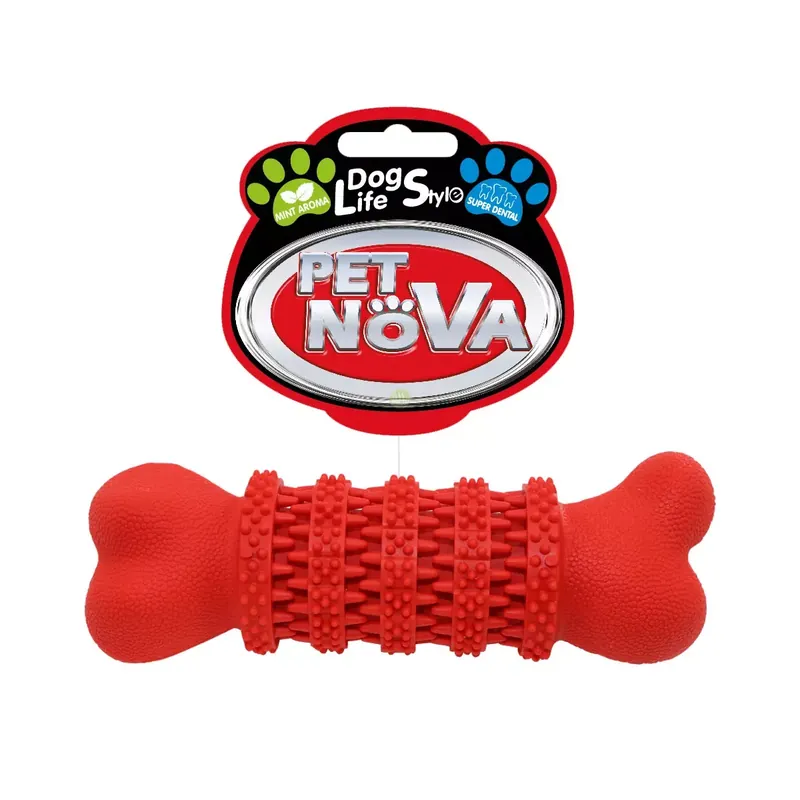Zniżka Aqua Nova RUB-DENTALFUN-17-RE