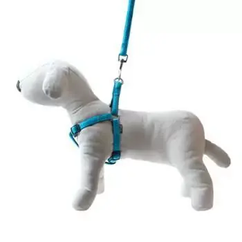 Wybór klientów Smycz+szelki Soft Style turkus S 1cm