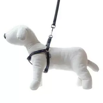 Hit cenowy Smycz+szelki Soft Style czarne M 1.5cm