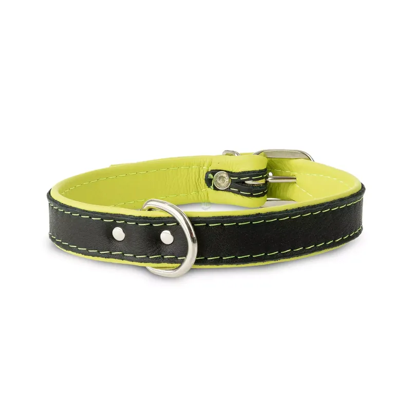 Zniżka Obroża Skóra Łoś 20mm/35cm limonka