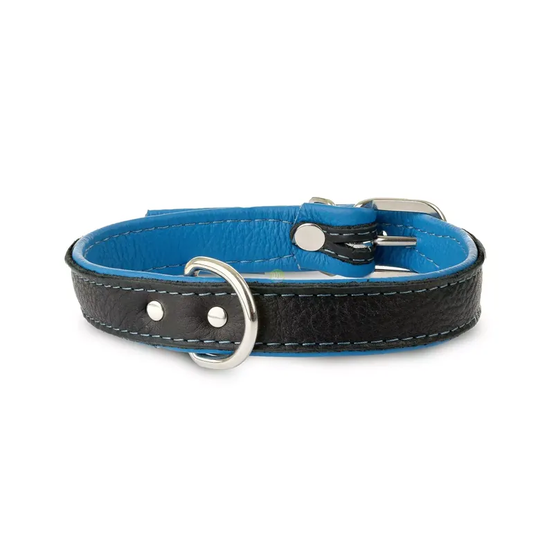 Obroża Skóra Łoś 20mm/45cm niebieski Oferta czasowa
