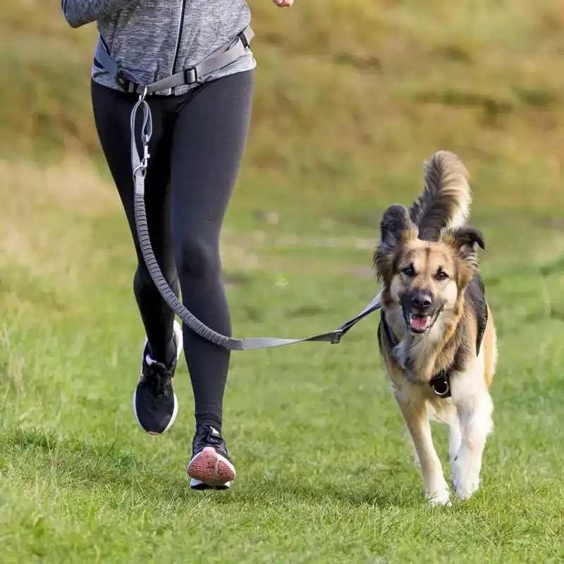 Promocja Pas biodrowy ze smyczą, 75-120cm, czarny