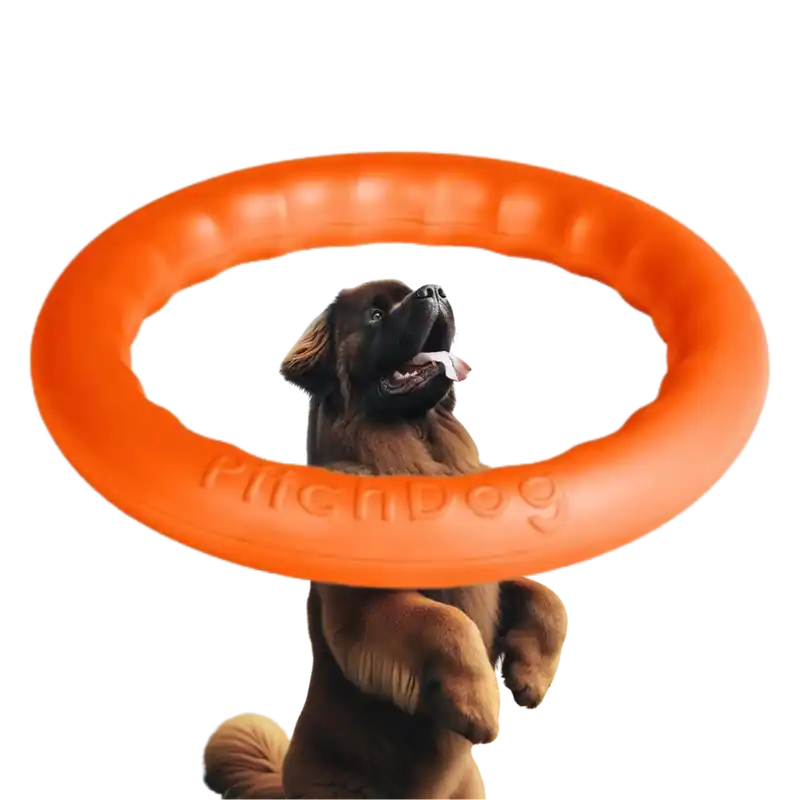 Ring PitchDog – dla psów dużych ras pomarańczowy 28 cm Okazja