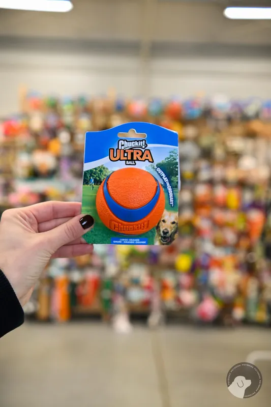 Ostatnie sztuki ULTRA BALL CHUCKIT L – piłka do aportowania dla psa