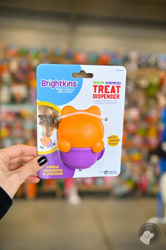 Brightkins Zabawka na przysmaki Teacup Surprise! FILIŻANKA Okazja
