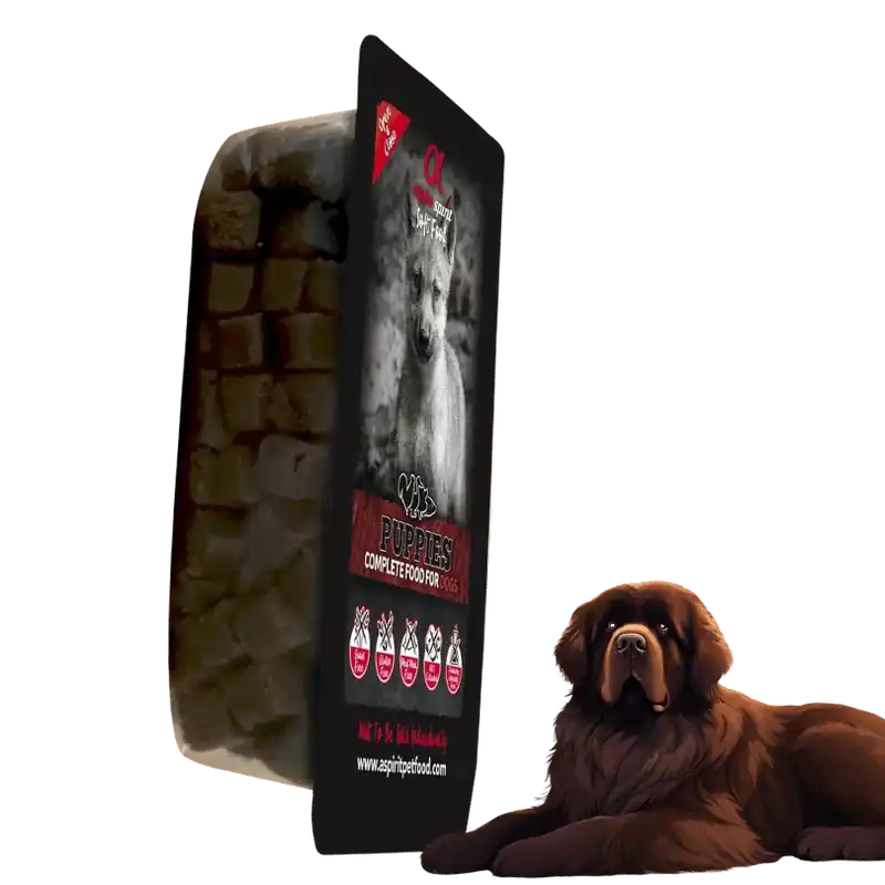 Karma sucha – miękka dla psa Alpha Spirit Puppies 200 g Hit sprzedaży
