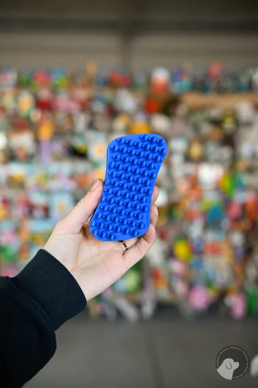 Ekspresowa dostawa Pet+Me Soft Silicone Brush Blue – szczotka silikonowa dla małych psów z niewielką ilością lub bez podszerstka niebieska