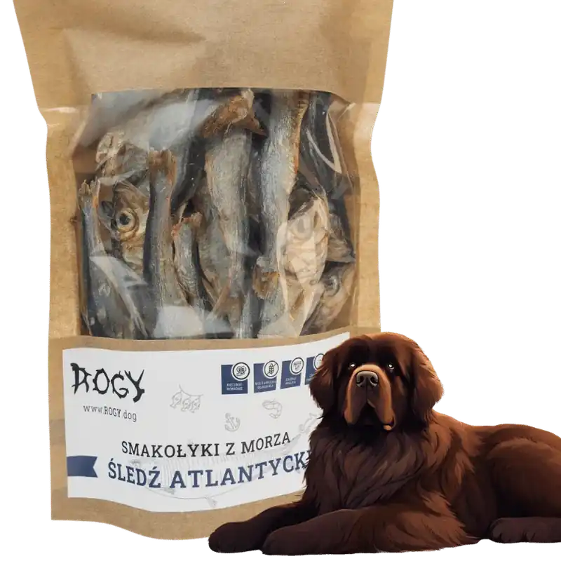 ROGY Śledź Atlantycki 70g – rybny przysmak dla psa Taniej