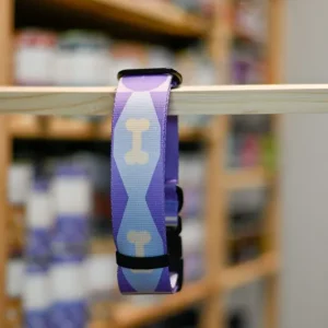 PROPSY OBROŻA Z KLAMRĄ Iconic Violet szerokość taśmy 4 cm S-L Popularny