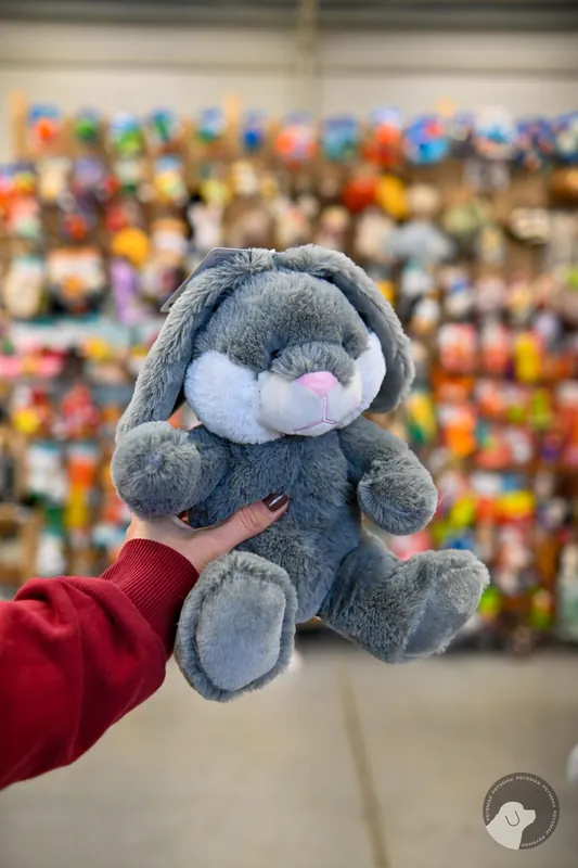Oferta czasowa TRIXIE Be Eco Królik Evan dla psa pluszowy 25 cm