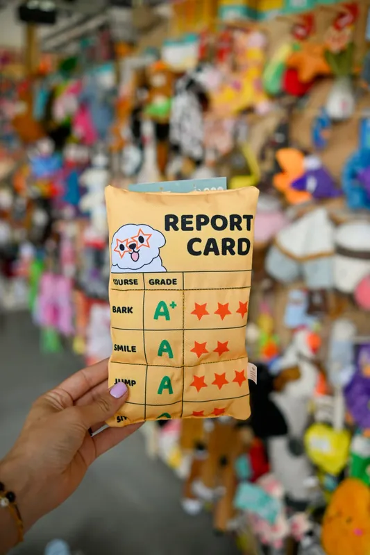 Oferta czasowa Hugsmart Bark To School Report Card – świadectwo psa