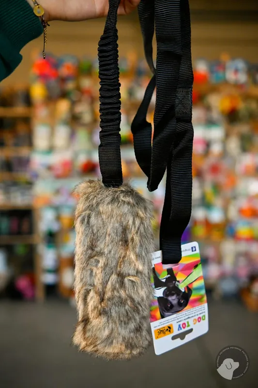 DINGO SZARPAK AGILITY BUNGEE FUTRO 150cm Najlepsza cena