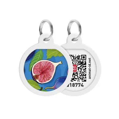 WAUDOG SMART ID METALOWA ZAWIESZKA ADRESÓWKA Z QR-PASZPORTEM Figa 25 mm Darmowy zwrot