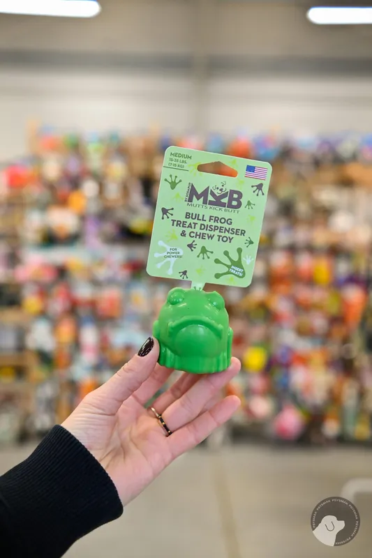 Ostatnia szansa SODA PUP MKB TPE Bullfrog Medium – żaba na przysmaki