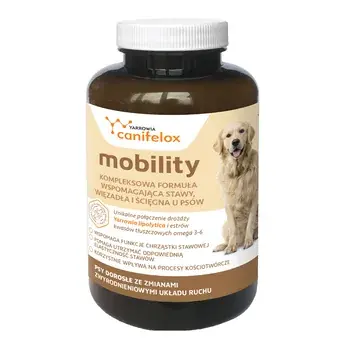 Ostatnia szansa CANIFELOX MOBILITY 120 tabletek – na zdrowe stawy