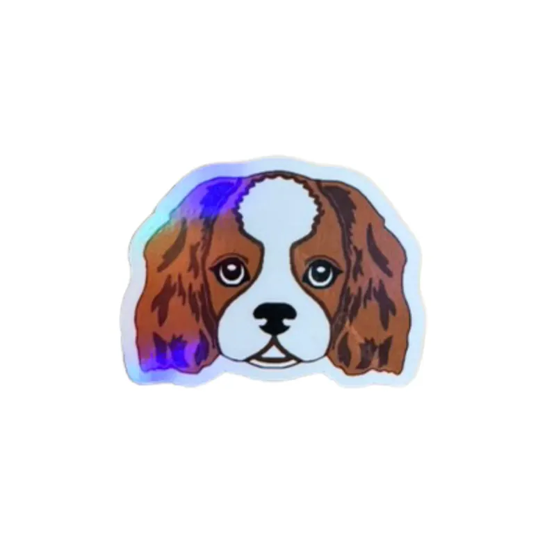 LENEE Magnes holograficzny dla psiary – cavalier Szybka dostawa