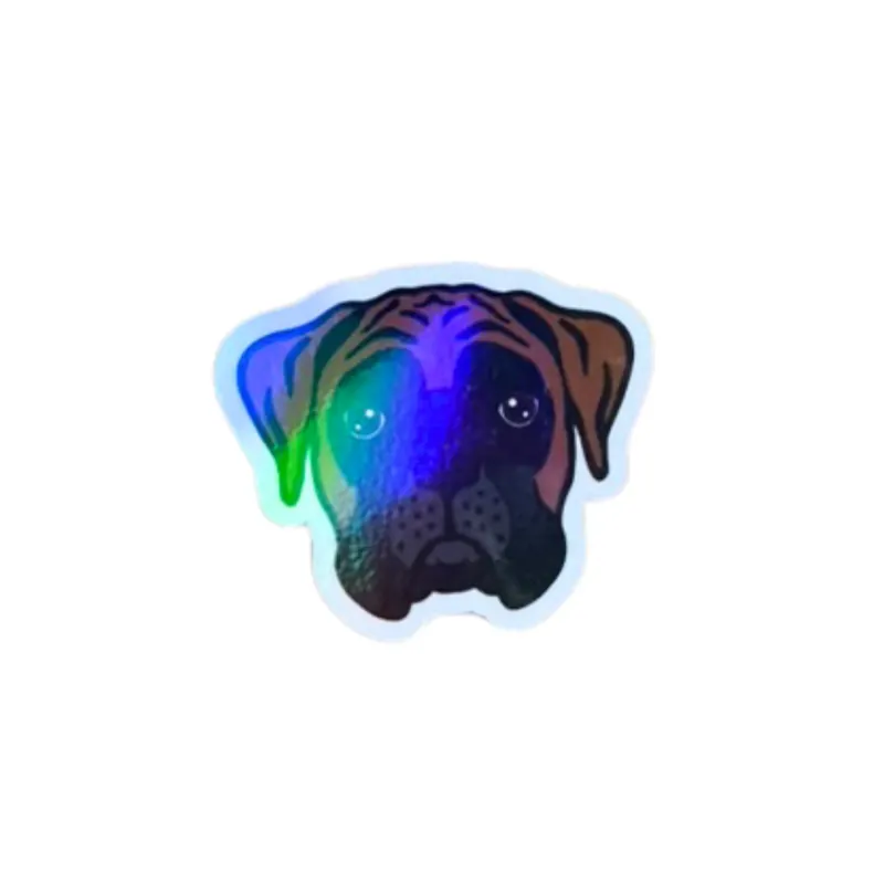 LENEE Magnes holograficzny dla psiary – bokser ciemny Super okazja