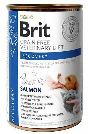 Brit Veterinary Diet Recovery Salmon Mokra Karma dla psa i kota op. 400g Tani