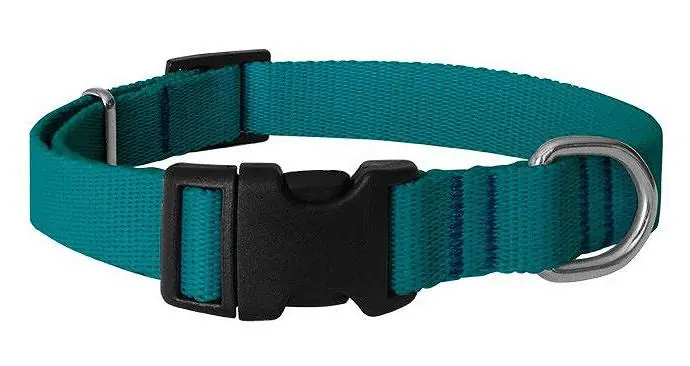 Chaba Obroża regulowana gładka dla psa rozm. 31-53cm kolor morski Oferta limitowana