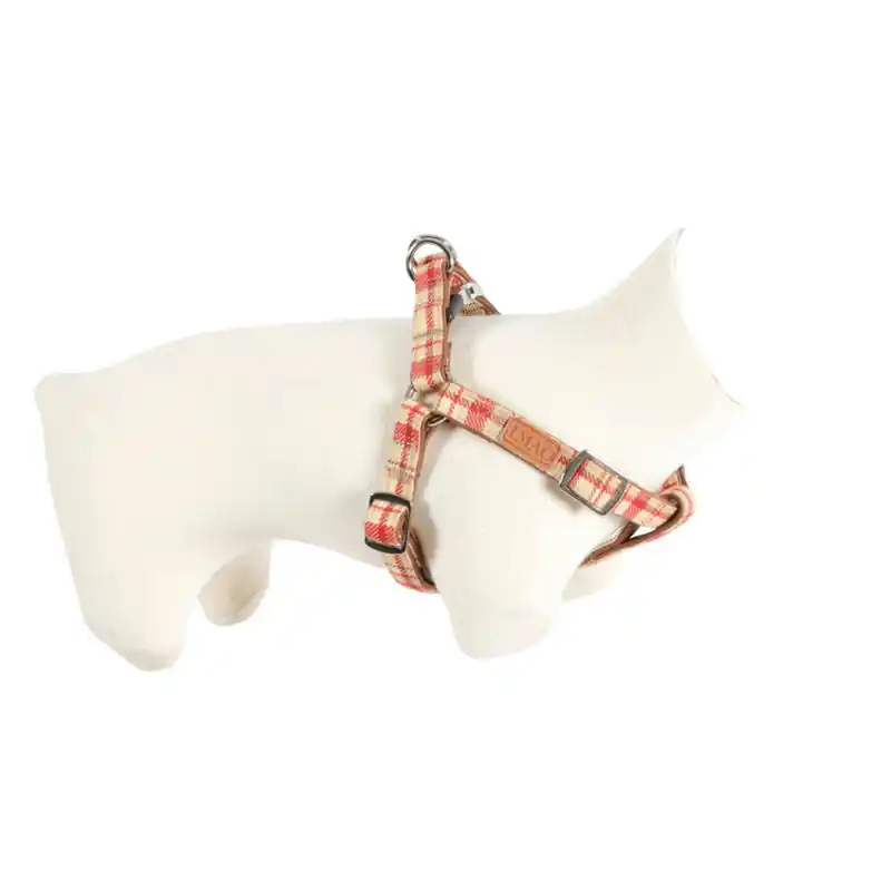 Oferta ZOLUX szelki IMAO SCOTT 25 mm czerwony