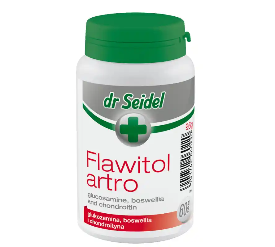 Najlepsza cena Suplement diety Dr Seidel Flawitol Artro 60 tabl.