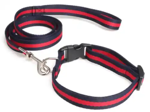 Nylonowa obro偶a dla psa Navy&Red Oferta limitowana
