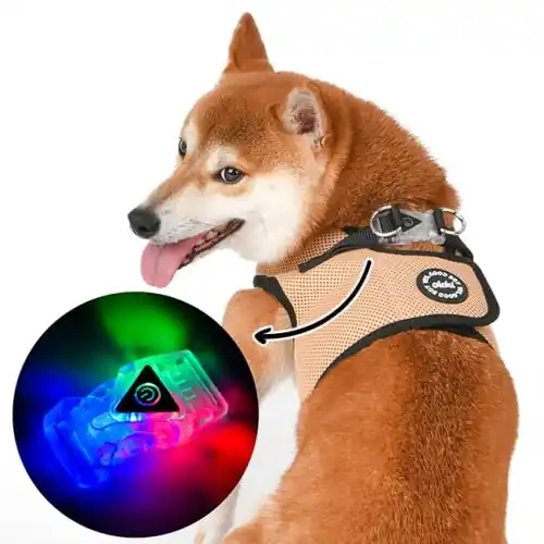 Szelki dla psa Olchi LED Combi Harness beige Dostępne od ręki