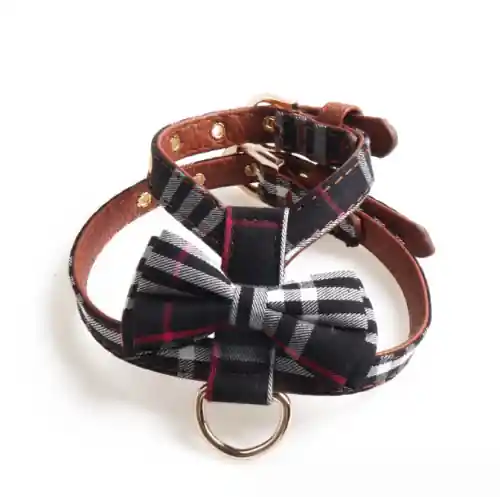 Szybka dostawa Elegancki zestaw szelki guard + smycz dla psa z kokardk膮 New England black