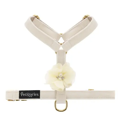 Petstories Celebrations Szelki Guard dla psa i kota Amore Ivory Premium