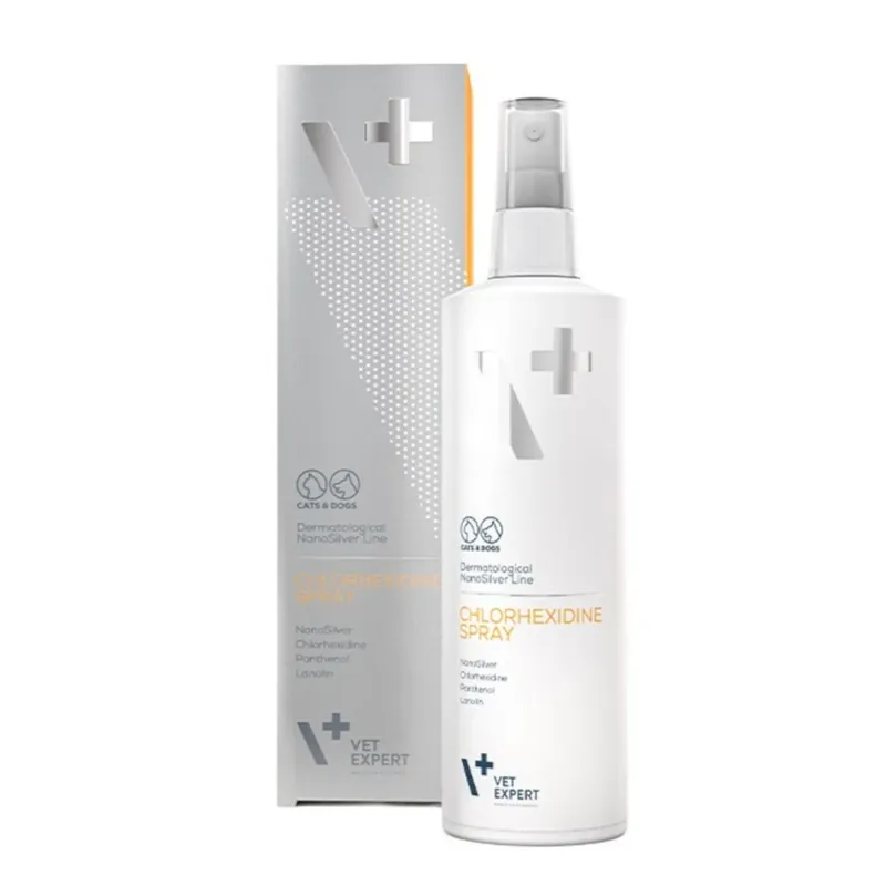 CHLORHEKSIDINE SPRAY 4% 100 ML Oferta czasowa