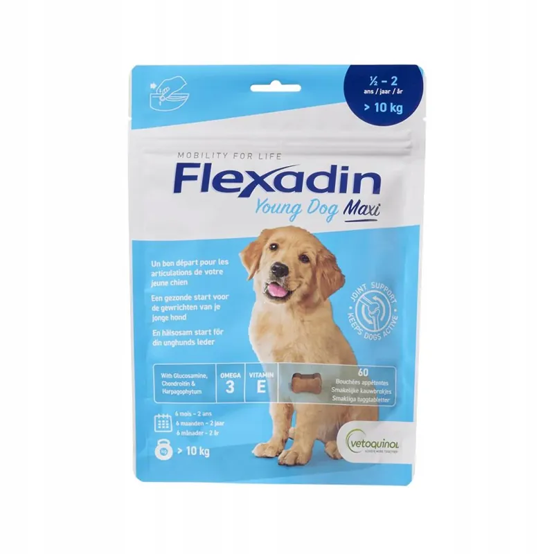 Flexadin Young Dog Maxi 60 kęsów dla psa wsparcie stawów Okazja