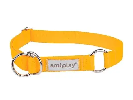 Zamów dziś Amiplay Obroża półzaciskowa Samba XL Żółty
