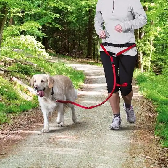 Hit cenowy Trixie Bauchgurt mit Leine- smycz do joggingu z amortyzatorem