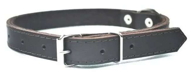 Chaba obroża skórzana 18mmx500mm Popularny